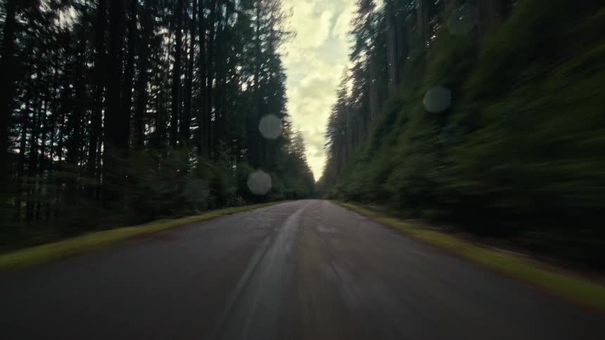A thrilling, high-speed hyper-lapse drive navigates a winding road surrounded by towering green trees