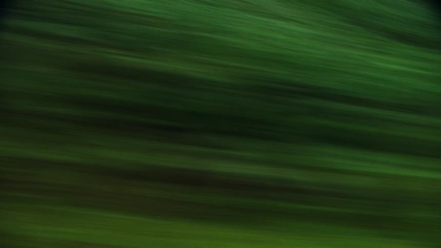 An abstract, dreamlike montage of motion-blurred shots creates a surreal journey through a dark green forest