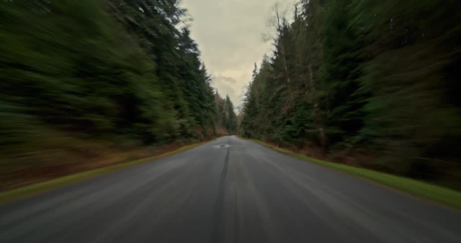 A thrilling, fast-paced POV drive down a narrow, tree-lined road through a dense evergreen forest