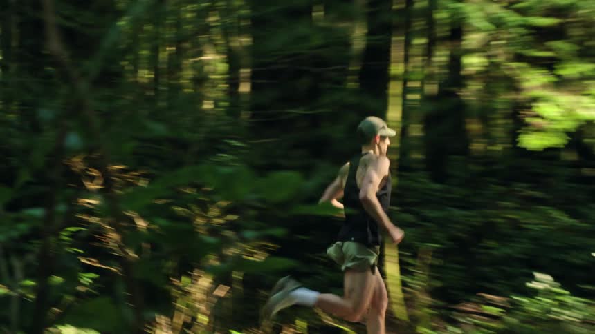 Tracking shot of a fit man running on a paved road through a lush, sunlit forest