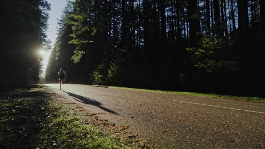 A man running down a road through a forest corridor at sunrise, casting a long shadow