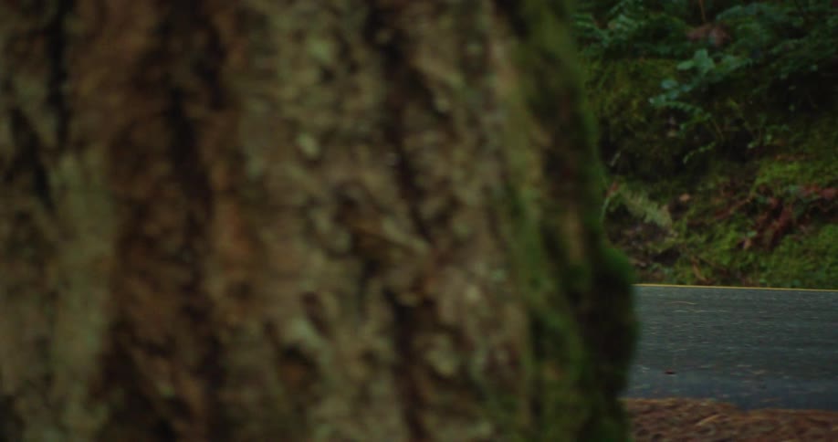 Slow-motion close-up reveals the powerful legs of an athlete running on a road through a dense, verdant forest