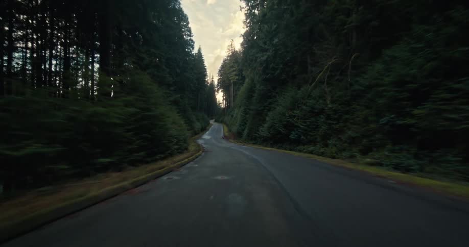 A cinematic first-person view of a drive down a winding road through a dense evergreen forest