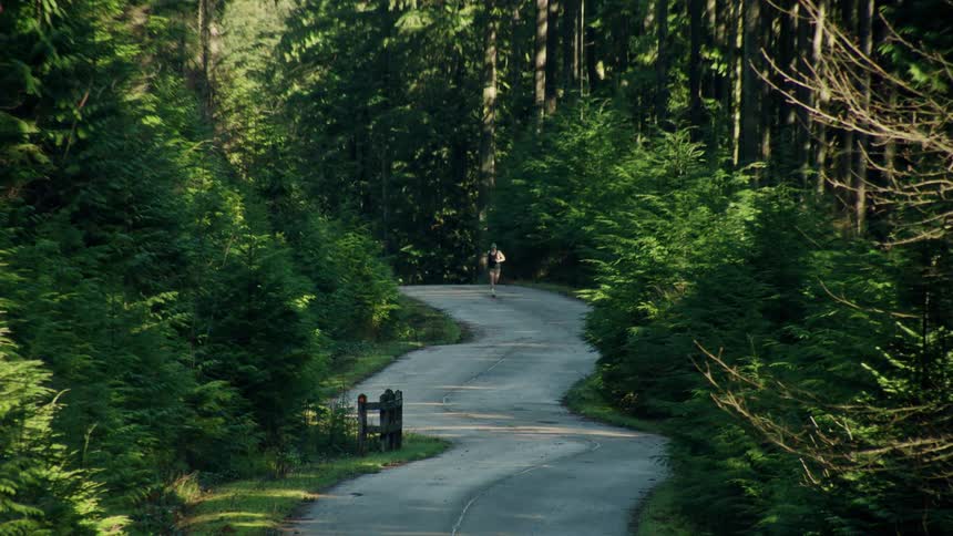 A lone runner jogs down a winding paved road through a lush, sun-dappled evergreen forest
