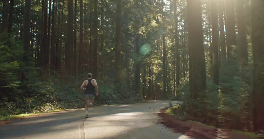 A man runs down a winding, sun-drenched road that disappears into a towering evergreen forest