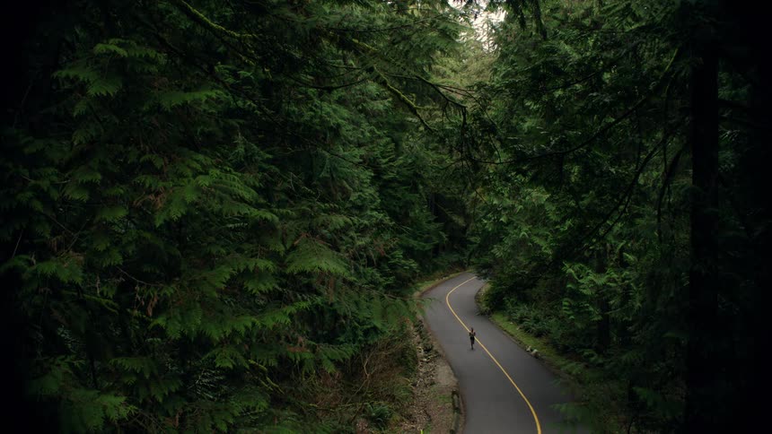 High angle shot of a runner jogging down a winding paved road surrounded by a dense green forest