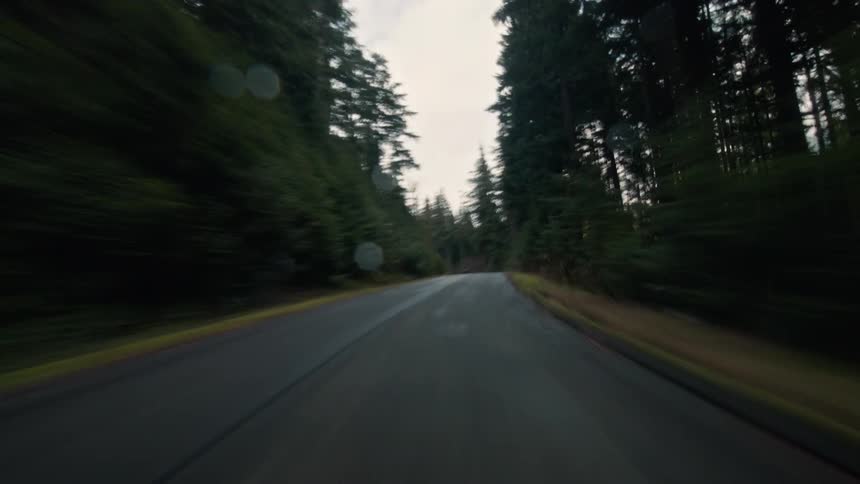 A fast-paced point-of-view drive along a winding, wet road through a dense evergreen forest on an overcast day