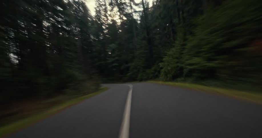An exhilarating high-speed drive along a winding road through a dense forest with sunlight piercing the trees