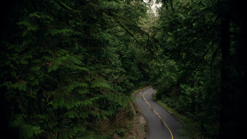 High angle view of motion-blurred running figures moving through a winding road in a lush evergreen forest