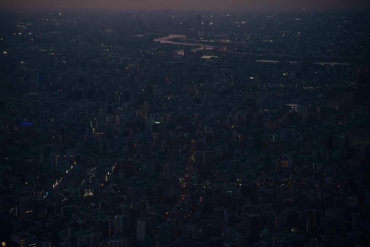 An aerial view of a sprawling metropolis with twinkling city lights as far as the eye can see at dusk