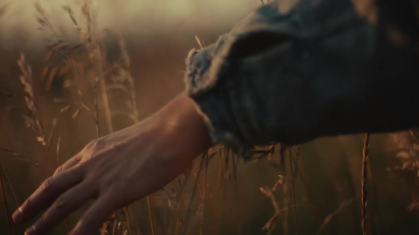 A close-up of a hand gently brushing through tall, wild grass in a field during the warm glow of sunset