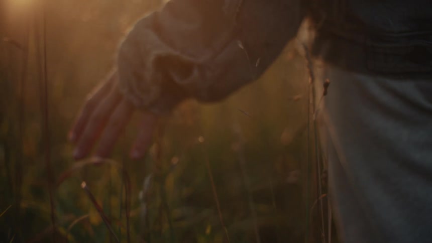 A person's hand gently glides through blades of tall grass in a field during a hazy golden hour sunset in slow motion