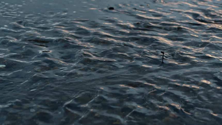 A tranquil close-up of dark water gently rippling over a sandy shore at dusk