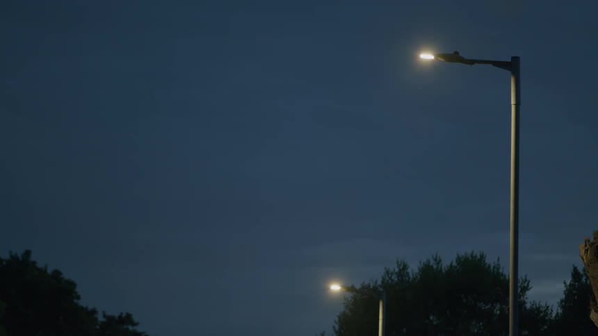 Insects swarm around a bright streetlight under a deep blue twilight sky