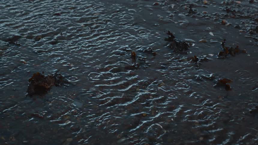 Slow motion close-up of raindrops falling on a dark, shallow stream, creating gentle ripples