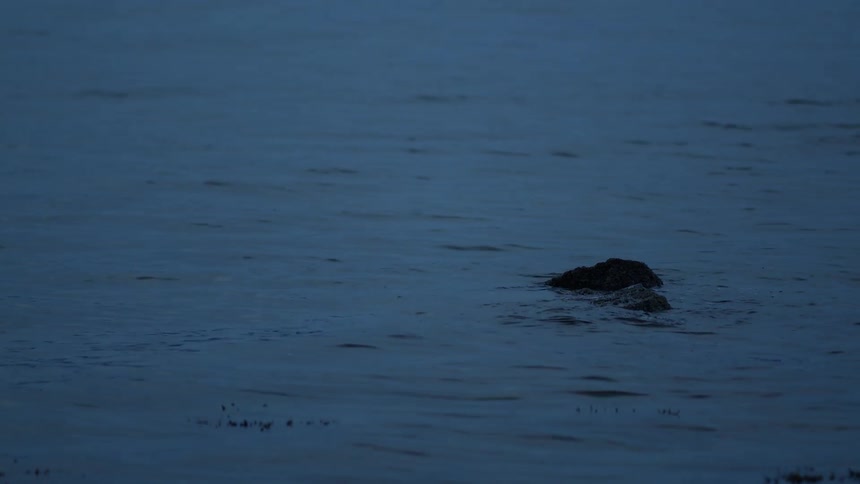 A solitary rock protrudes from the calm, rippling surface of dark blue water at twilight
