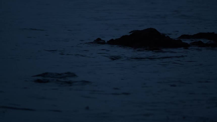 Silhouetted rocks sit in the dark, calm ocean water as gentle ripples flow by at night