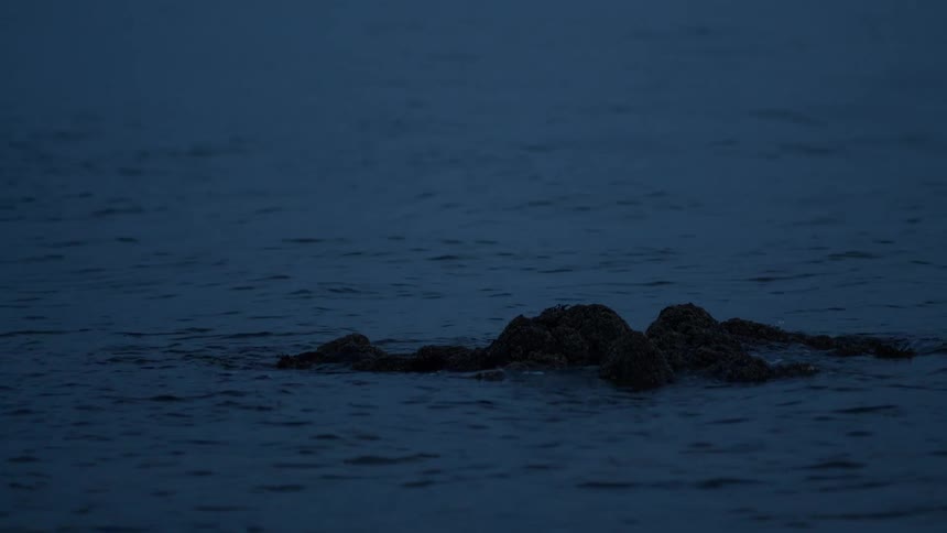 Dark ocean water flows gently around a solitary rock in the quiet of the evening
