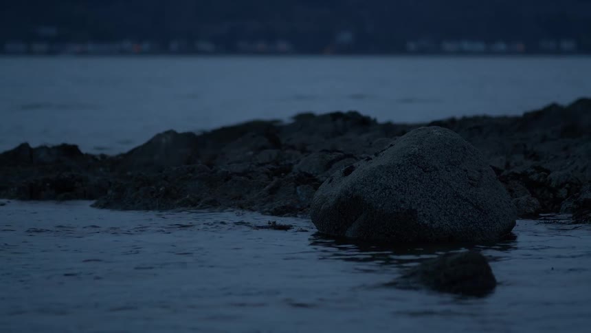 A calm body of water gently laps against a rocky shoreline during a quiet, dark evening
