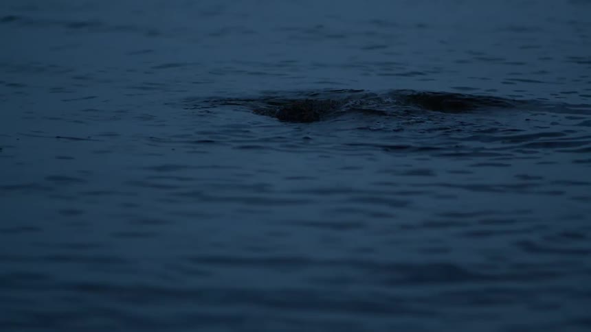 Mysterious dark water bubbles and ripples around a rock at twilight