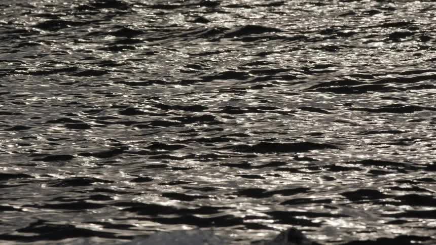 Sunlight glitters and shimmers on the surface of dark, rippling water