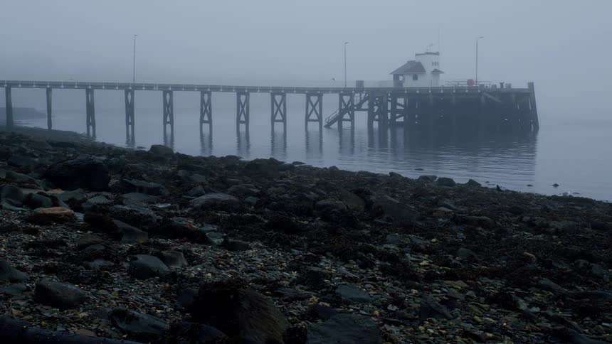 A long pier on a rocky coastline is shrouded in thick fog as birds fly by and walk along the shore