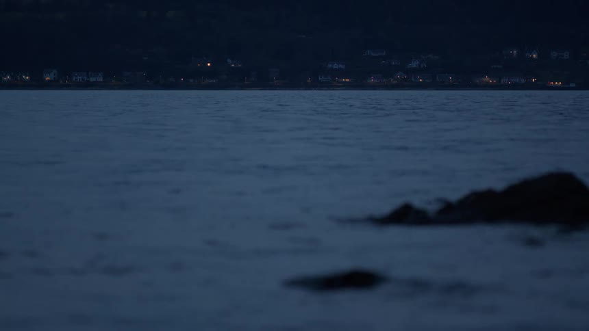 A tranquil lake ripples gently at dusk, with the distant lights of a town visible on the far shore