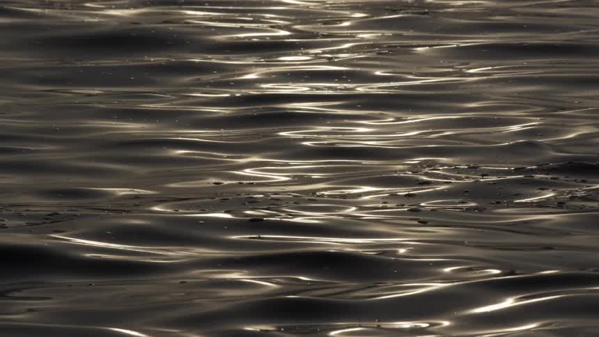 Golden sunlight reflects on the surface of dark, calm water in slow motion