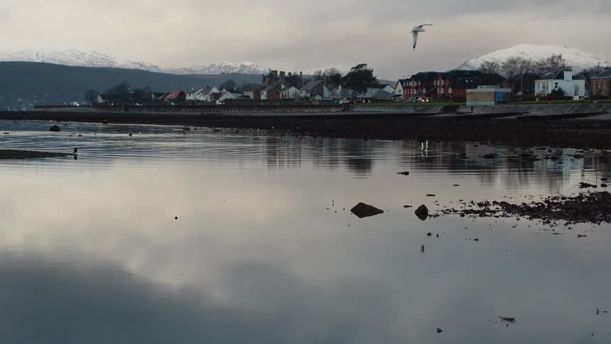 A seagull flies in slow motion over a calm bay reflecting a coastal town and distant snow-capped mountains on an overcast day