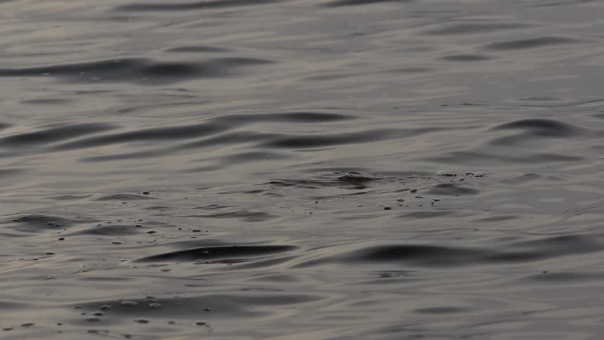 Dark, calm water over rocks which creating ripples and bubbles in slow motion