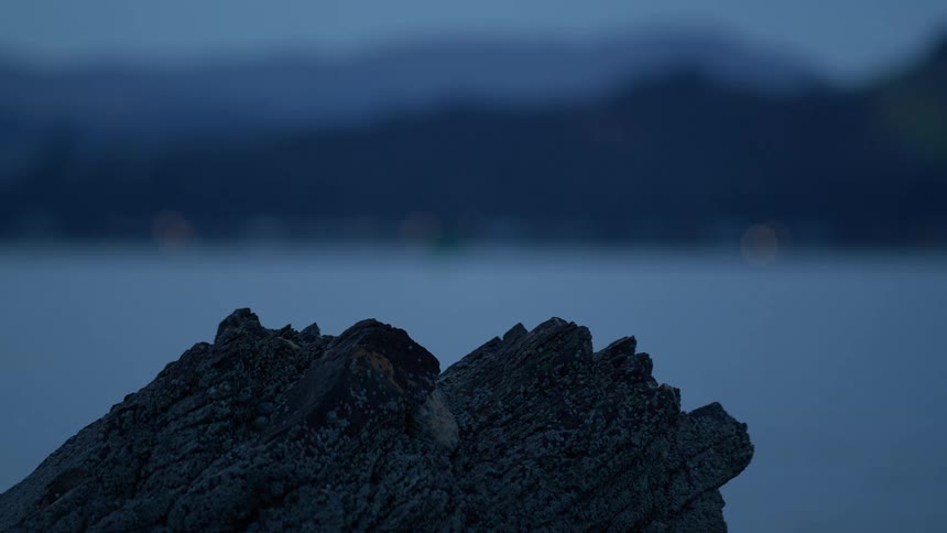 A jagged rock sits in the foreground as a single green light blinks over a calm body of water at dusk