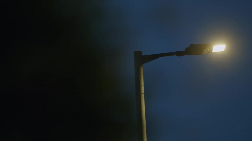 A solitary streetlight cuts through the darkness, illuminating fluttering insects against the deep blue night sky