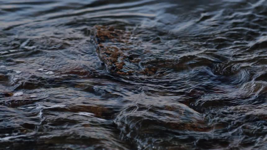 A super slow-motion close-up of dark, rippling water flowing over submerged rocks