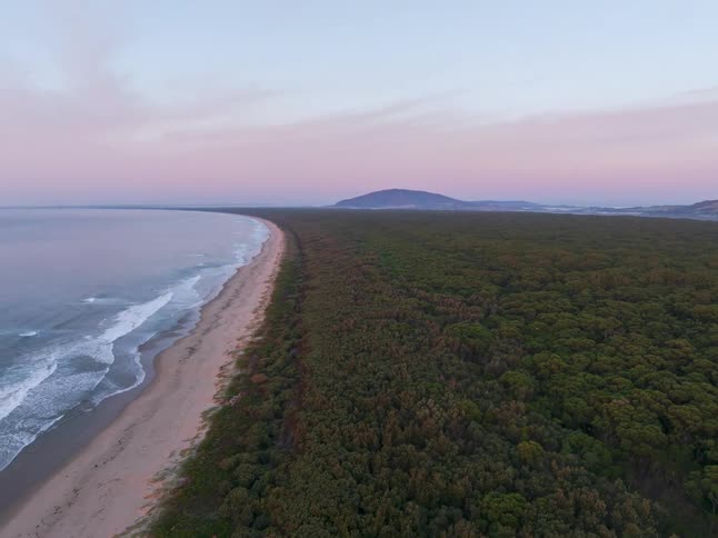 An aerial view flies over a vast, untouched coastline where a dense forest meets the ocean under a beautiful pastel-colored sky at dusk