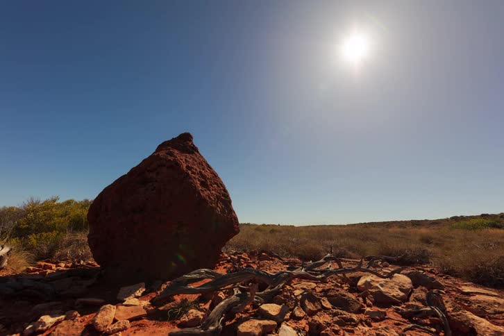 Wide, static shot of a large red termite mound in the harsh, sun-drenched Australian outback landscape