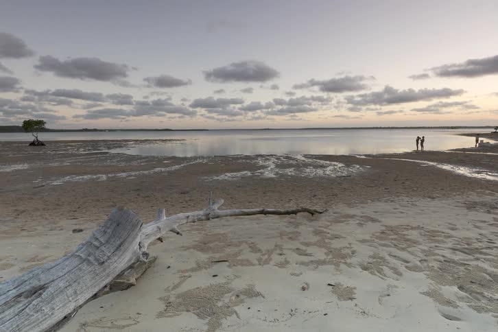 A serene timelapse shows the sun setting over a calm bay at low tide, with driftwood in the foreground and people walking along the exposed sand