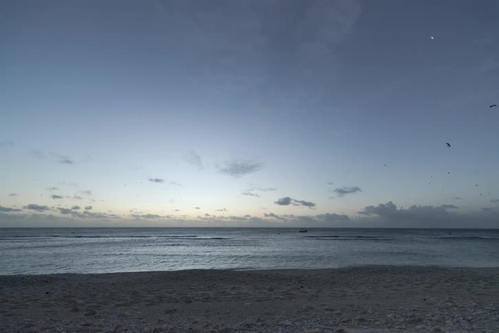 Time-lapse of a stunning beach sunset over the ocean with birds flying across the colorful, cloud-filled sky