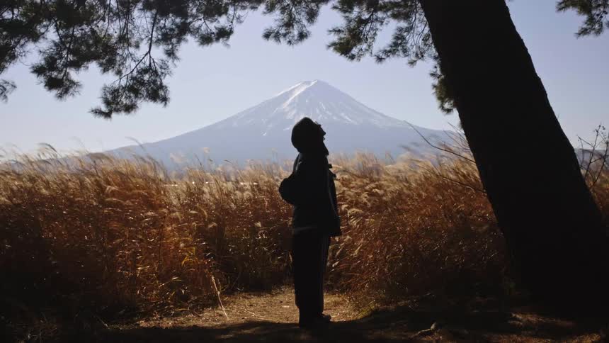A silhouetted person stands admiring the majestic Mount Fuji across a windy field of golden pampas grass