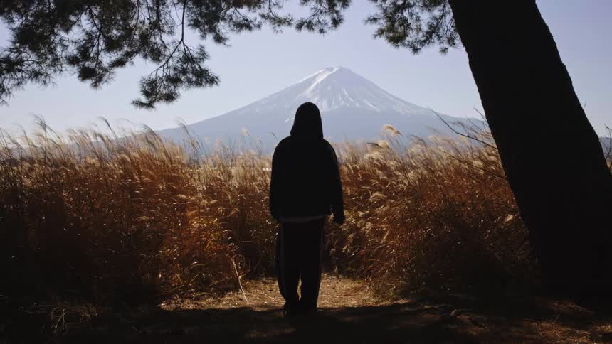 A silhouetted figure in a hoodie stands amidst a field of swaying golden grass, contemplating the majestic view of Mount Fuji in the distance