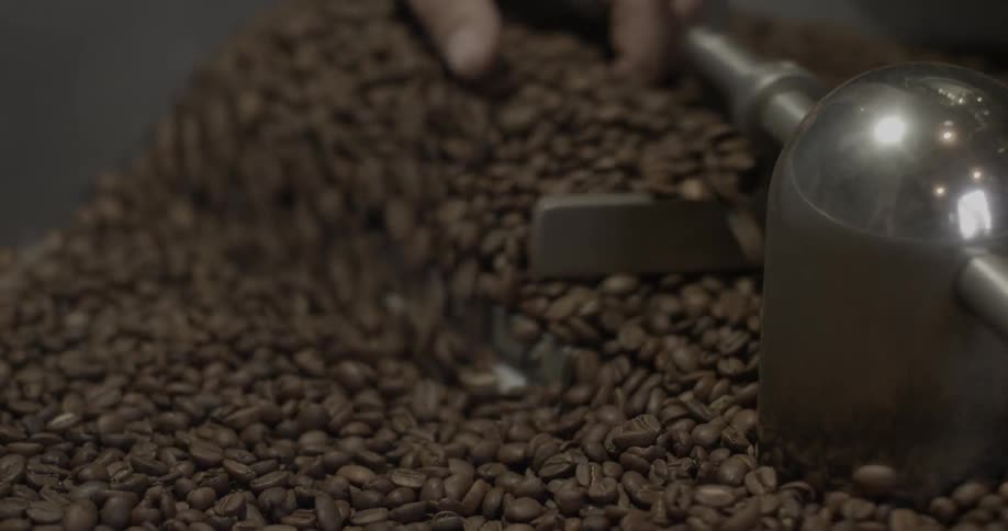 Coffee beans swirl in a roaster as someone reaches in to check them