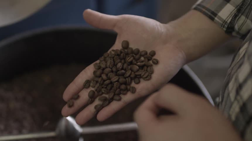 A man drops some coffee beans into a machine