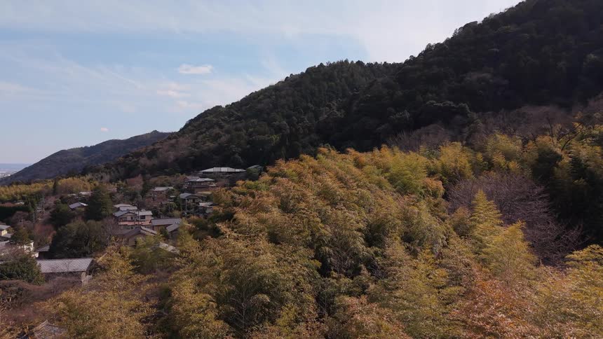 Wind gently sways the leaves of a bamboo forest overlooking a quiet village nestled at the foot of a mountain