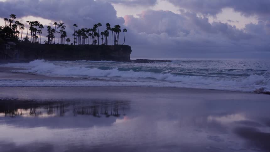 Palm trees on a cliff are reflected in the wet sand as slow-motion waves crash on the beach under a dramatic purple sky at dusk