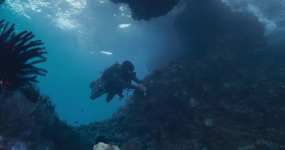 A scuba diver gracefully explores the interior of a beautiful sunlit underwater sea cave