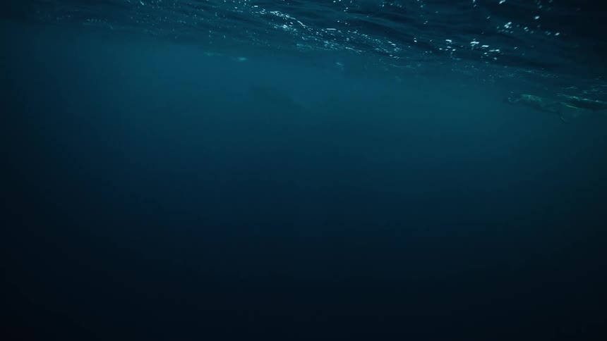 An underwater shot from the deep blue ocean looking up at the choppy surface as a whale swims by in the distance