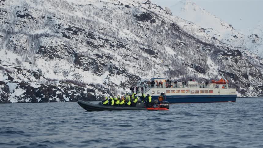 Tourists on a rigid inflatable boat and a larger vessel enjoy a whale watching tour in a snowy fjord
