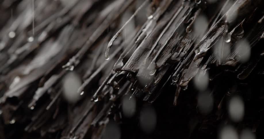Water dripping from a hut roof as it rains