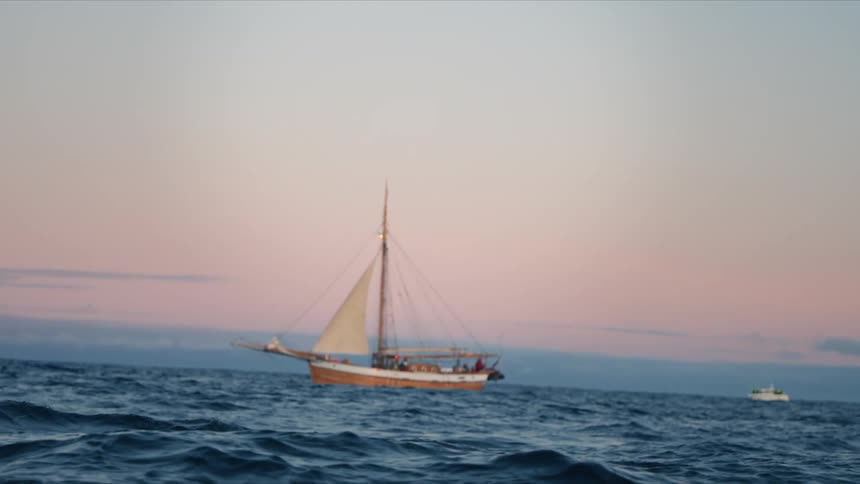 An old wooden sailboat rocks peacefully on the deep blue ocean waves during a beautiful pastel sunset as a whale swims past