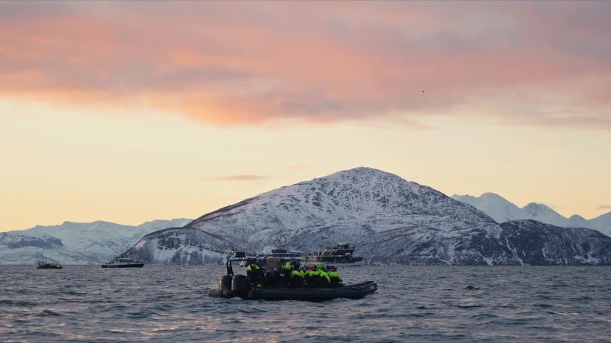 Tourists on a whale watching expedition in a Zodiac boat float in a calm Norwegian fjord against a backdrop of snow-covered mountains at sunset