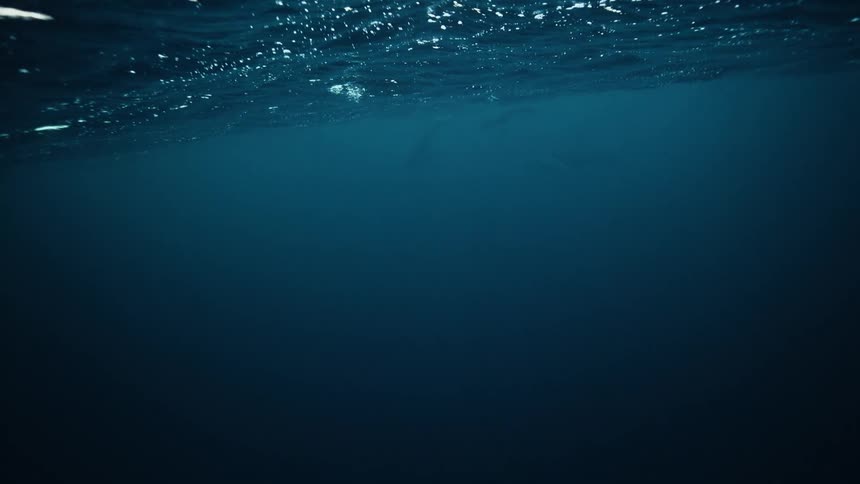 A mysterious underwater view from the deep blue ocean captures the rippling surface and shadowy marine life swimming in the distance